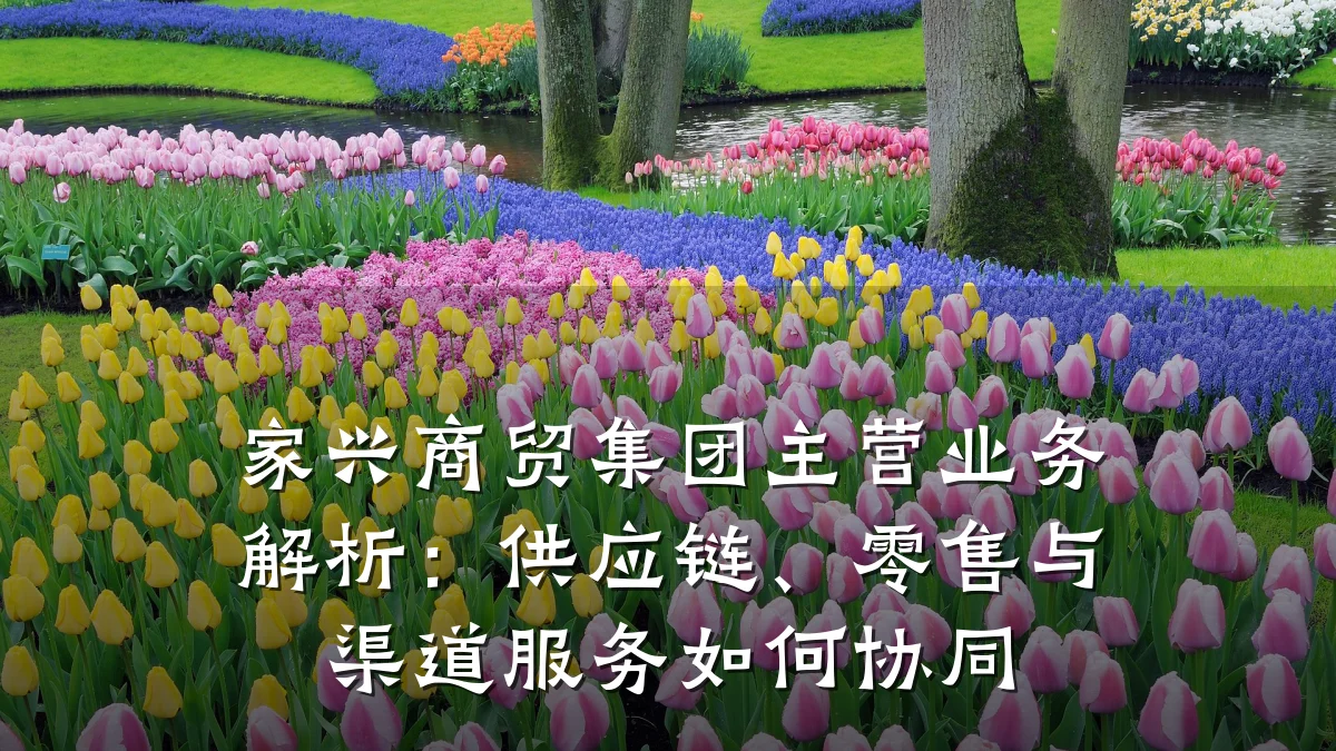 家兴商贸集团主营业务解析：供应链、零售与渠道服务如何协同