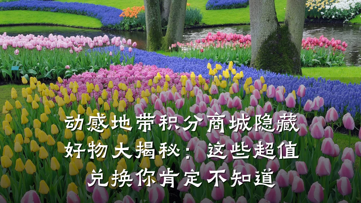 动感地带积分商城隐藏好物大揭秘:这些超值兑换你肯定不知道