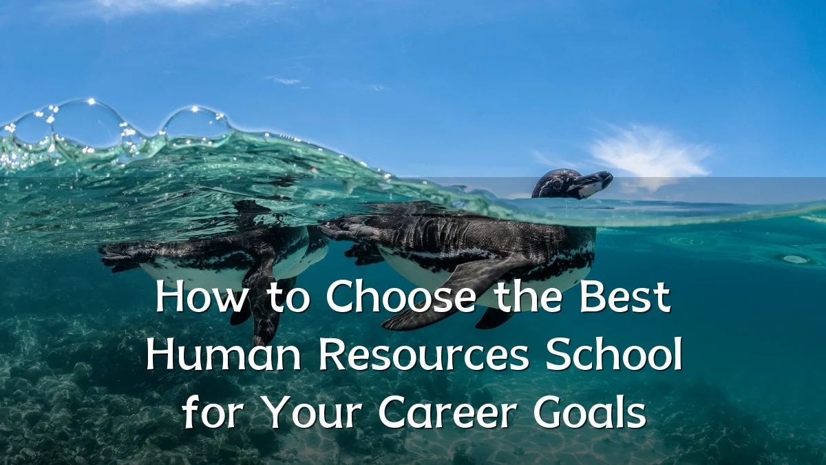 How to Choose the Best Human Resources School for Your Career Goals