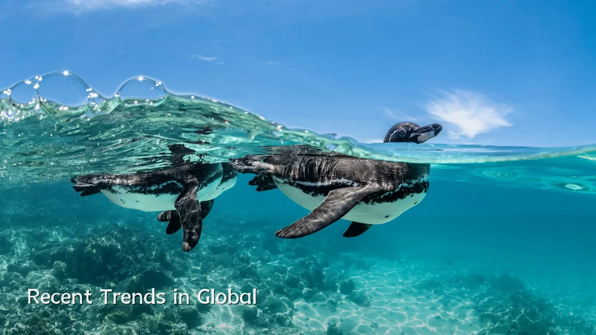 Recent Trends in Global