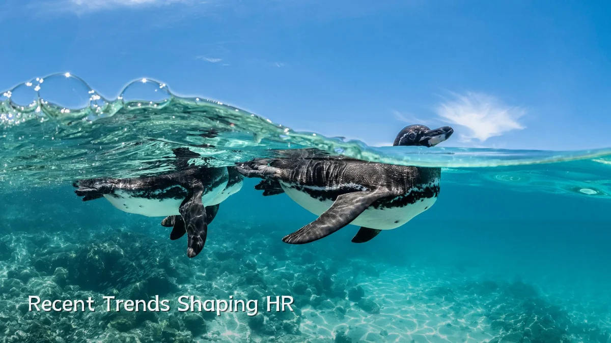 Recent Trends Shaping HR