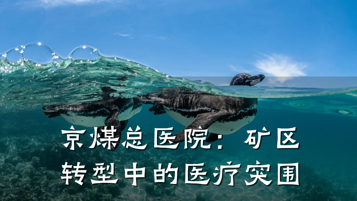 京煤总医院：矿区转型中的医疗突围