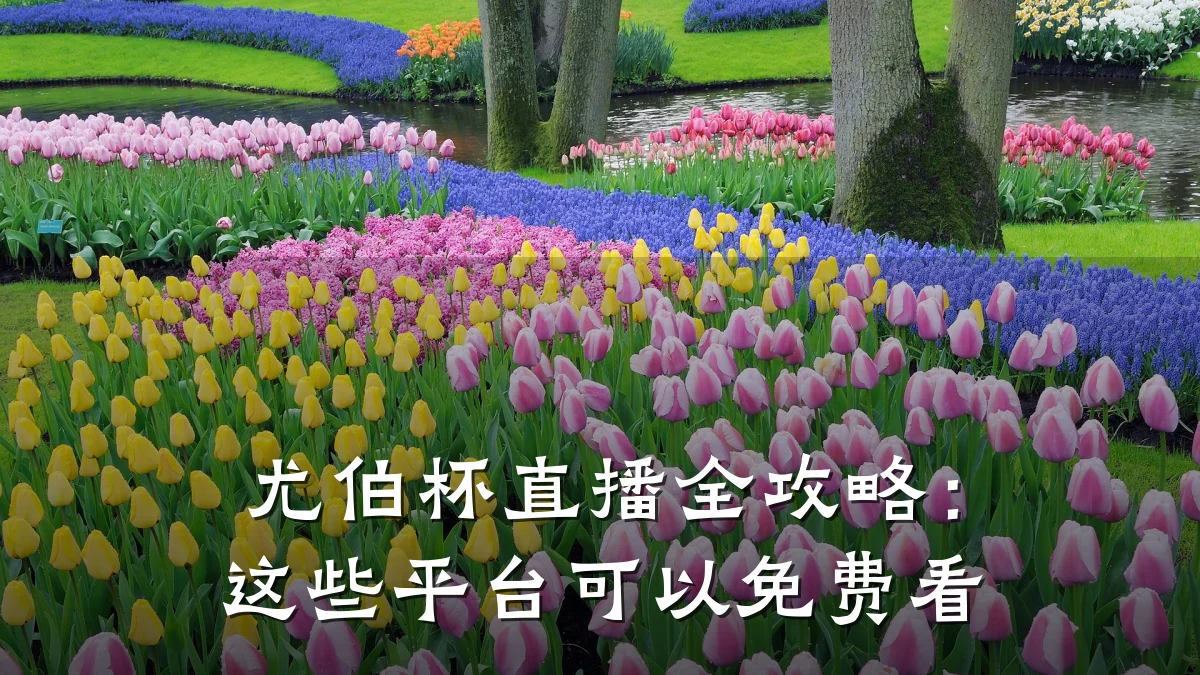 尤伯杯直播全攻略:这些平台可以免费看