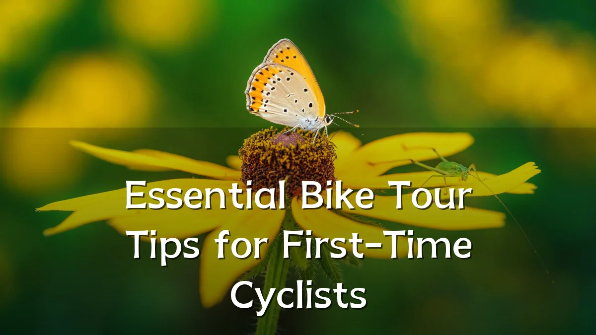 Essential Bike Tour Tips for First-Time Cyclists