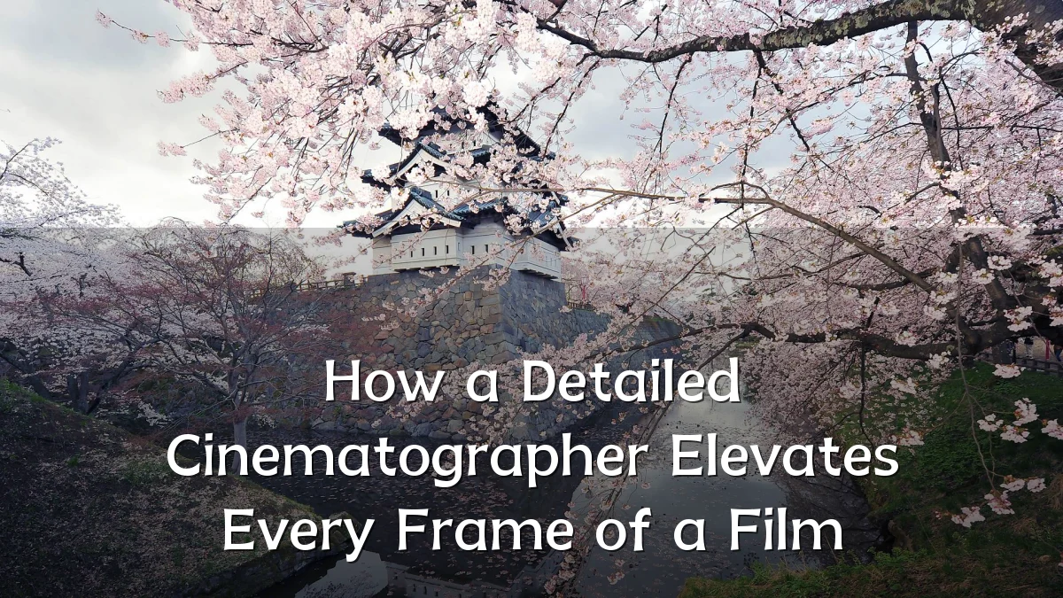 How a Detailed Cinematographer Elevates Every Frame of a Film