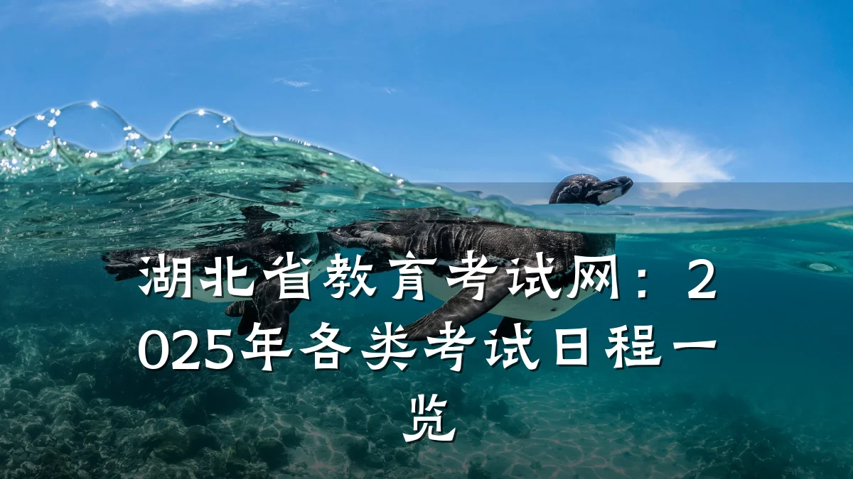湖北省教育考试网:2025年各类考试日程一览