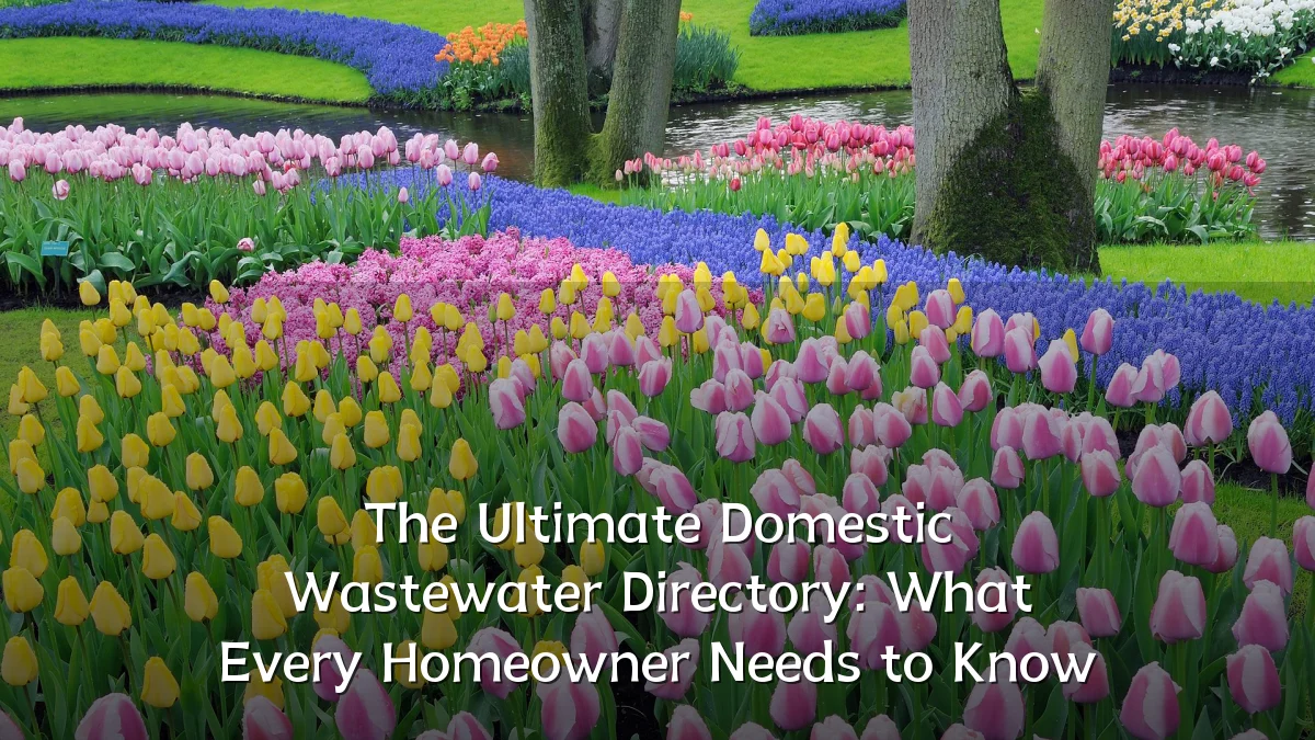 The Ultimate Domestic Wastewater Directory: What Every Homeowner Needs to Know
