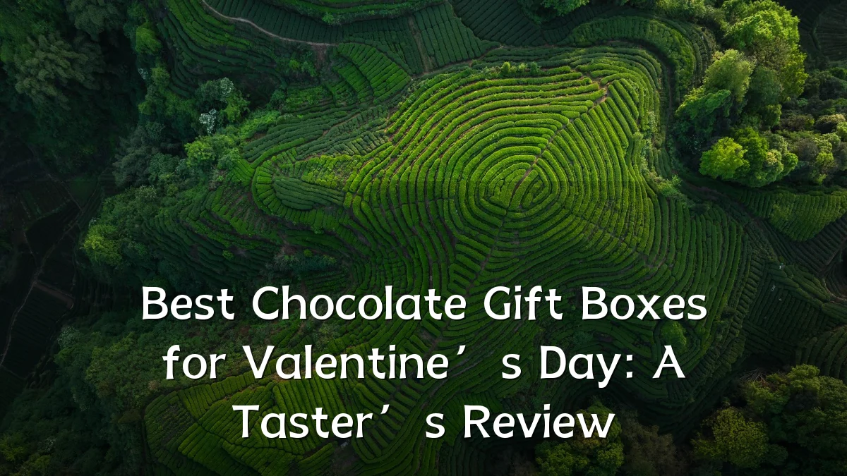 Best Chocolate Gift Boxes for Valentine’s Day: A Taster’s Review