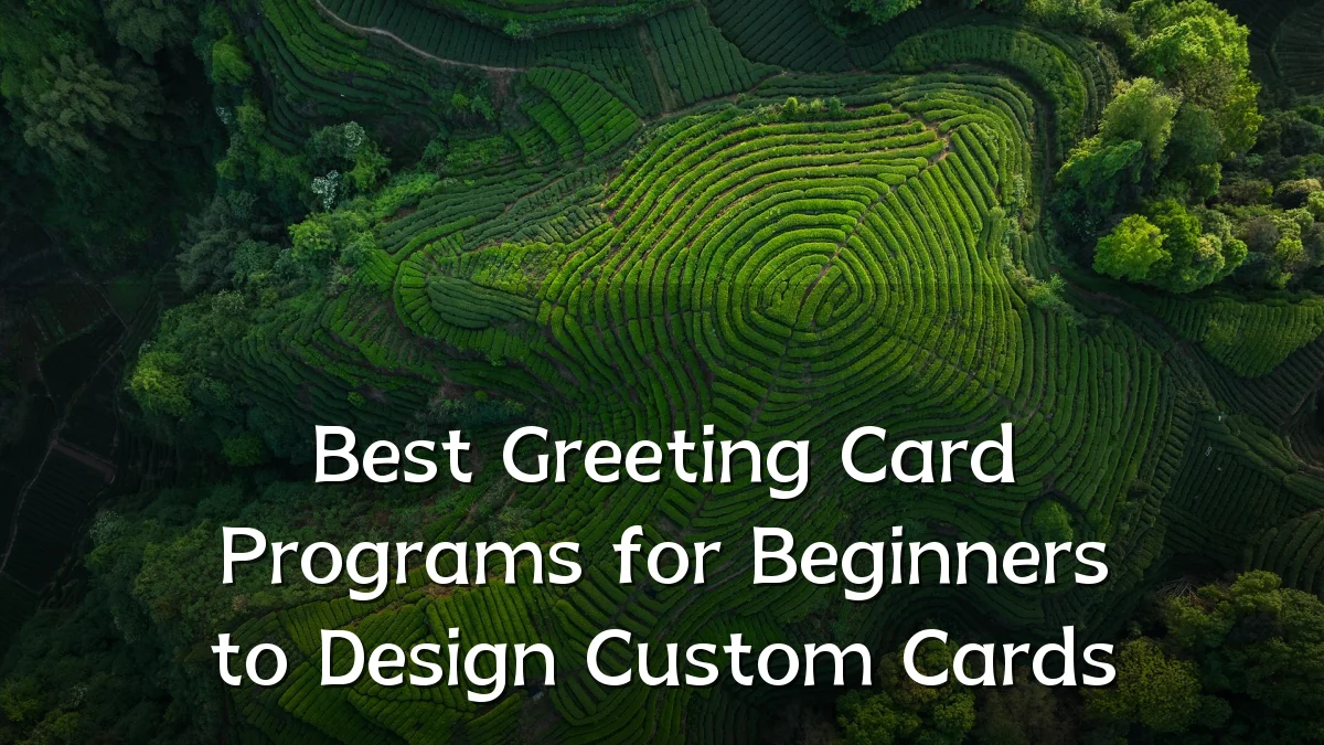 Best Greeting Card Programs for Beginners to Design Custom Cards