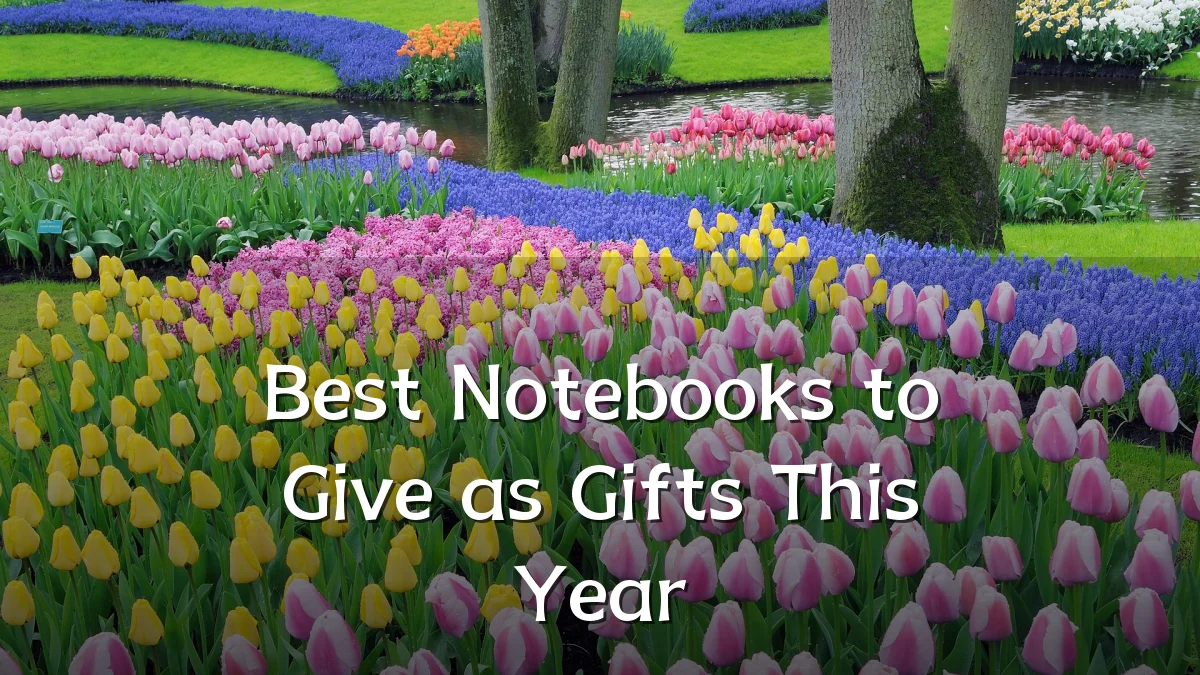 Best Notebooks to Give as Gifts This Year