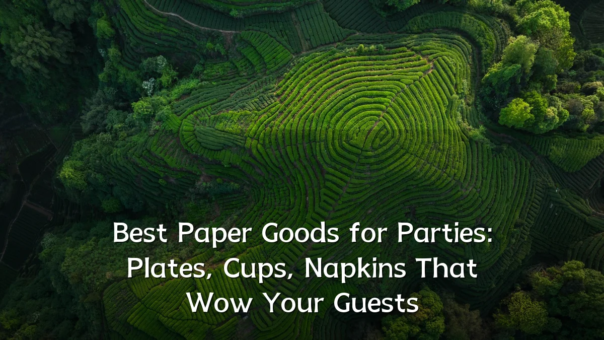 Best Paper Goods for Parties: Plates, Cups, Napkins That Wow Your Guests