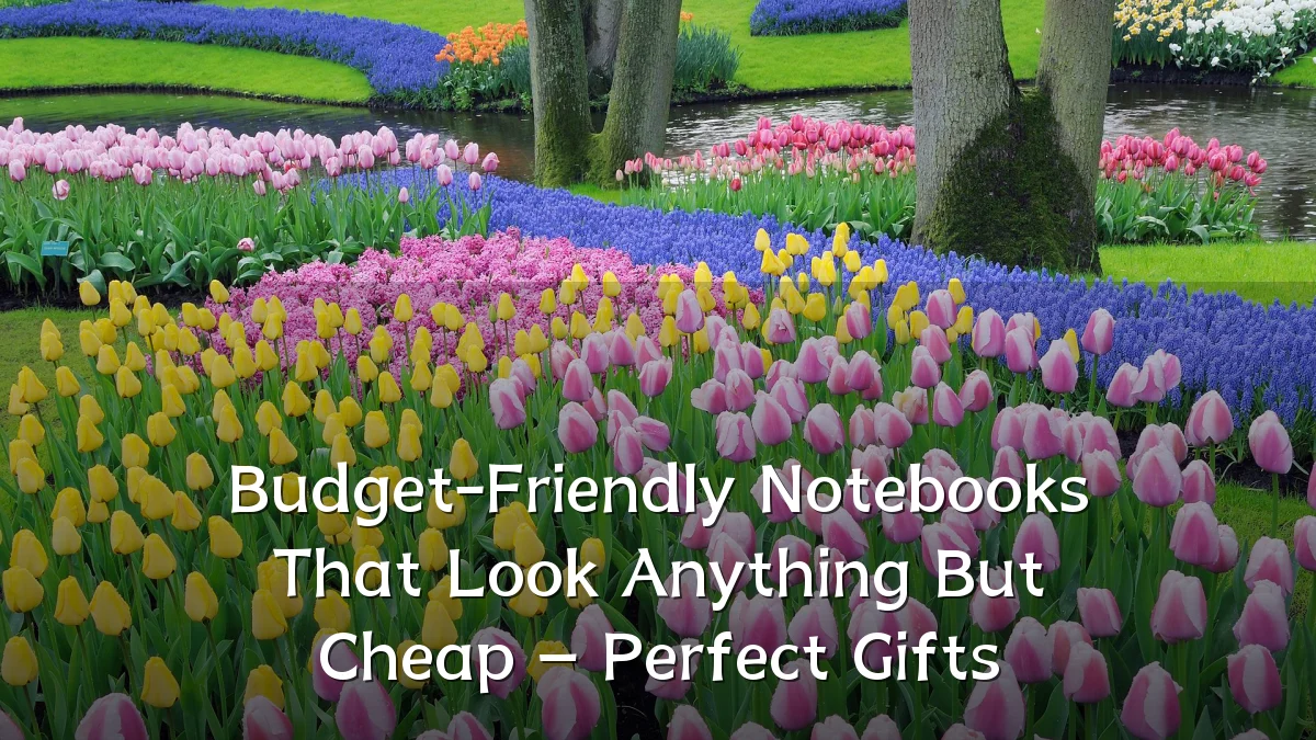 Budget-Friendly Notebooks That Look Anything But Cheap – Perfect Gifts