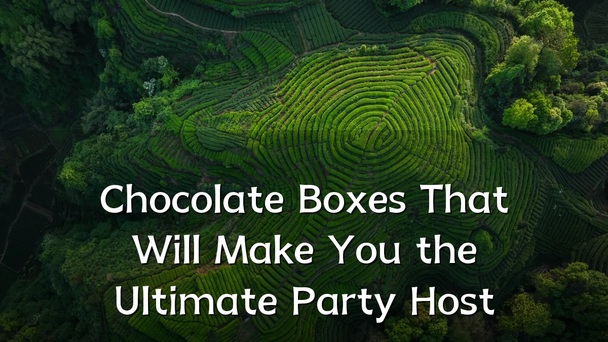 Chocolate Boxes That Will Make You the Ultimate Party Host