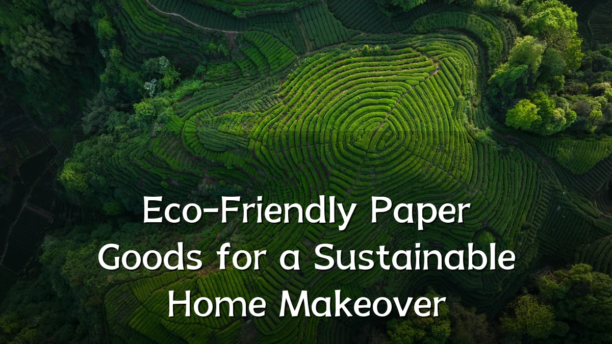 Eco-Friendly Paper Goods for a Sustainable Home Makeover