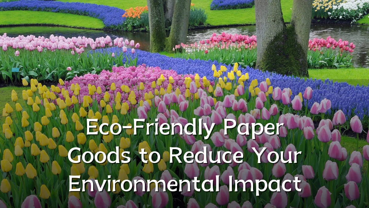 Eco-Friendly Paper Goods to Reduce Your Environmental Impact