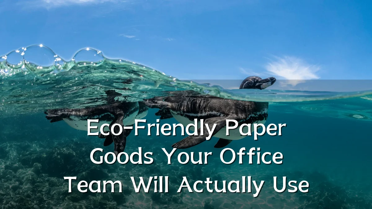 Eco-Friendly Paper Goods Your Office Team Will Actually Use