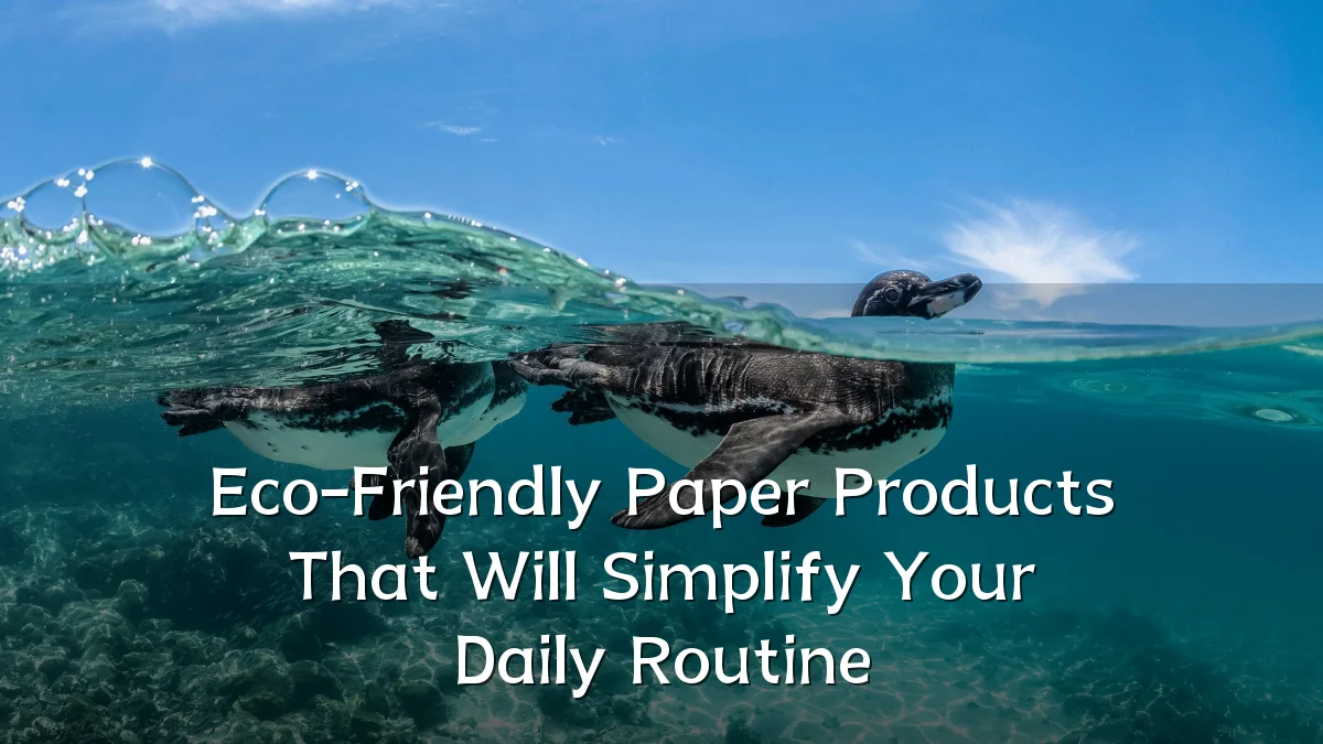 Eco-Friendly Paper Products That Will Simplify Your Daily Routine