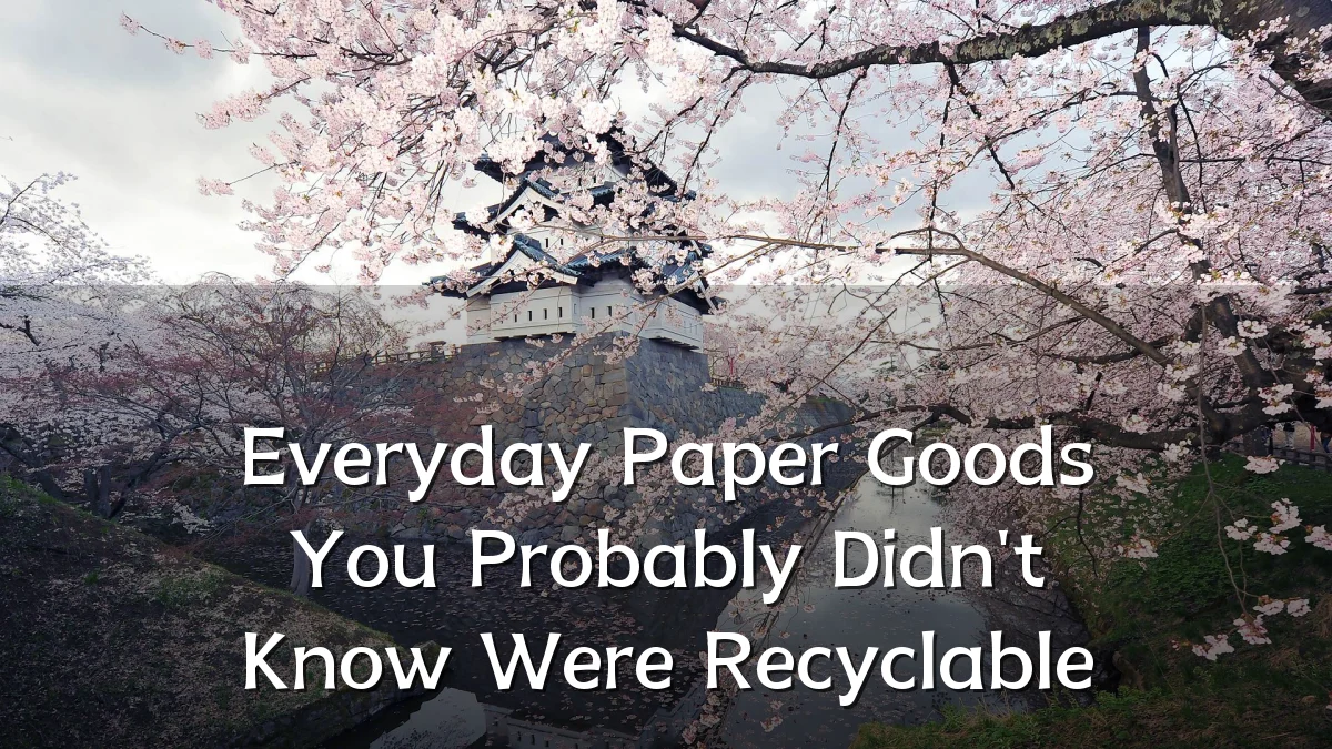 Everyday Paper Goods You Probably Didn't Know Were Recyclable