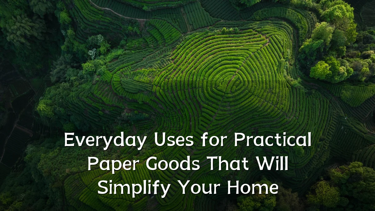 Everyday Uses for Practical Paper Goods That Will Simplify Your Home
