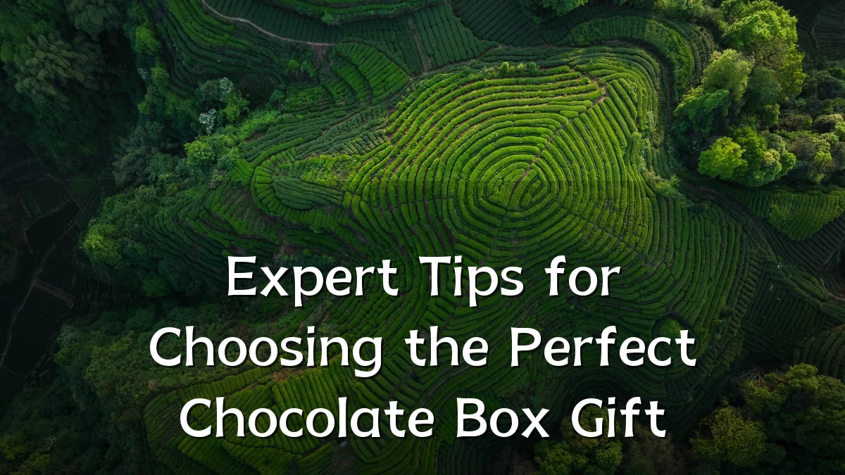 Expert Tips for Choosing the Perfect Chocolate Box Gift