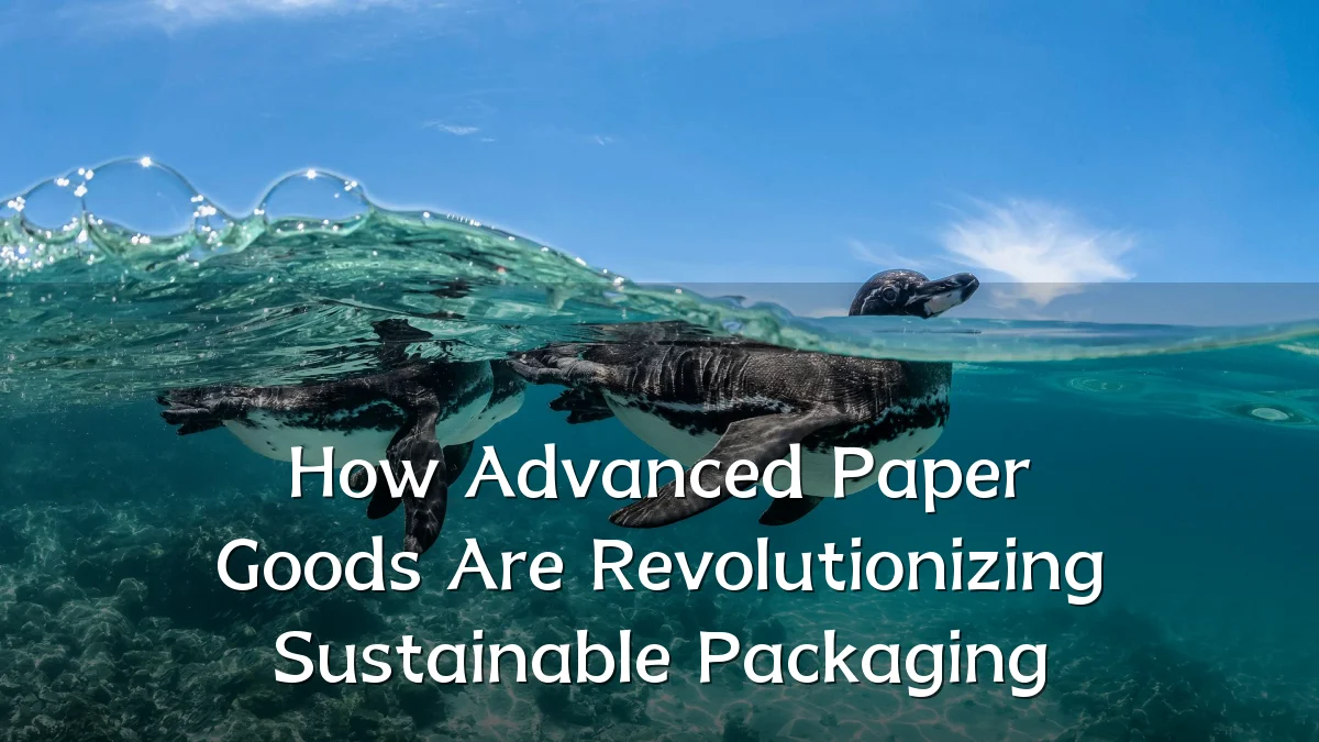 How Advanced Paper Goods Are Revolutionizing Sustainable Packaging