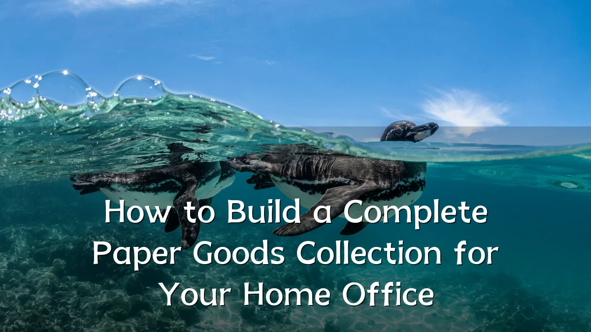 How to Build a Complete Paper Goods Collection for Your Home Office