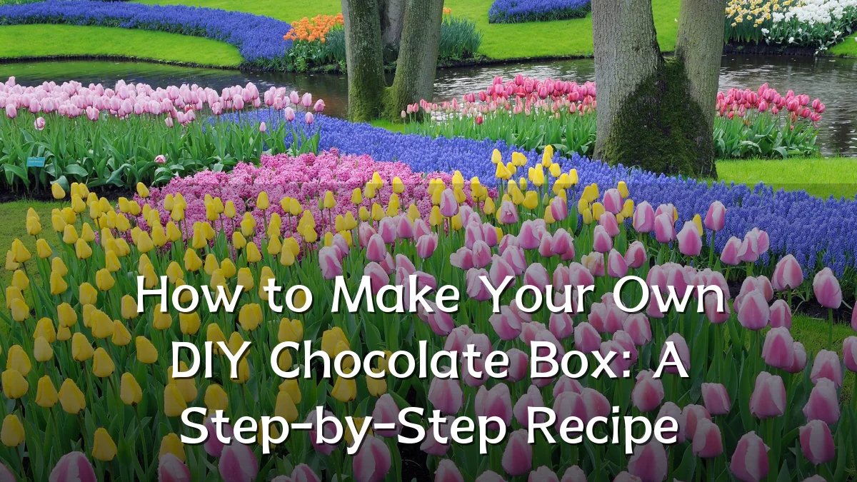 How to Make Your Own DIY Chocolate Box: A Step-by-Step Recipe