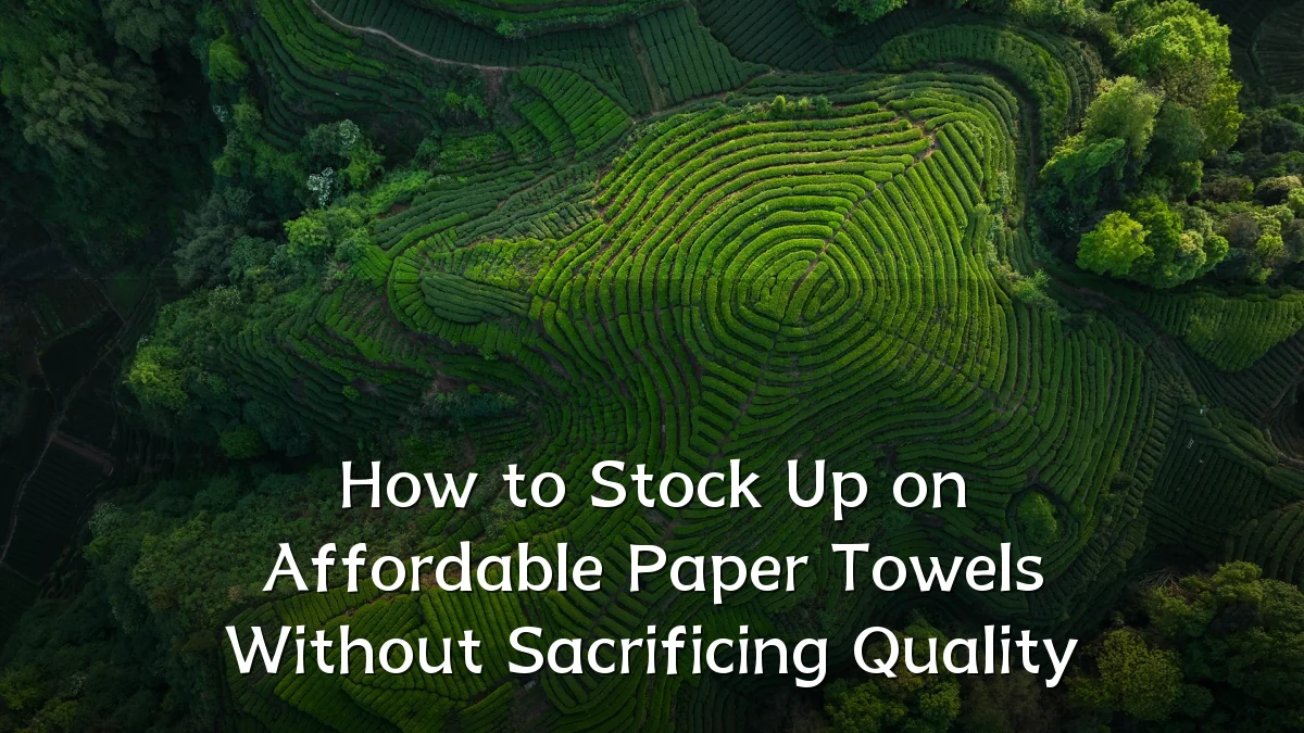 How to Stock Up on Affordable Paper Towels Without Sacrificing Quality