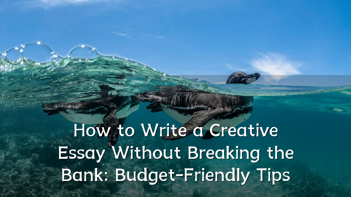 How to Write a Creative Essay Without Breaking the Bank: Budget-Friendly Tips