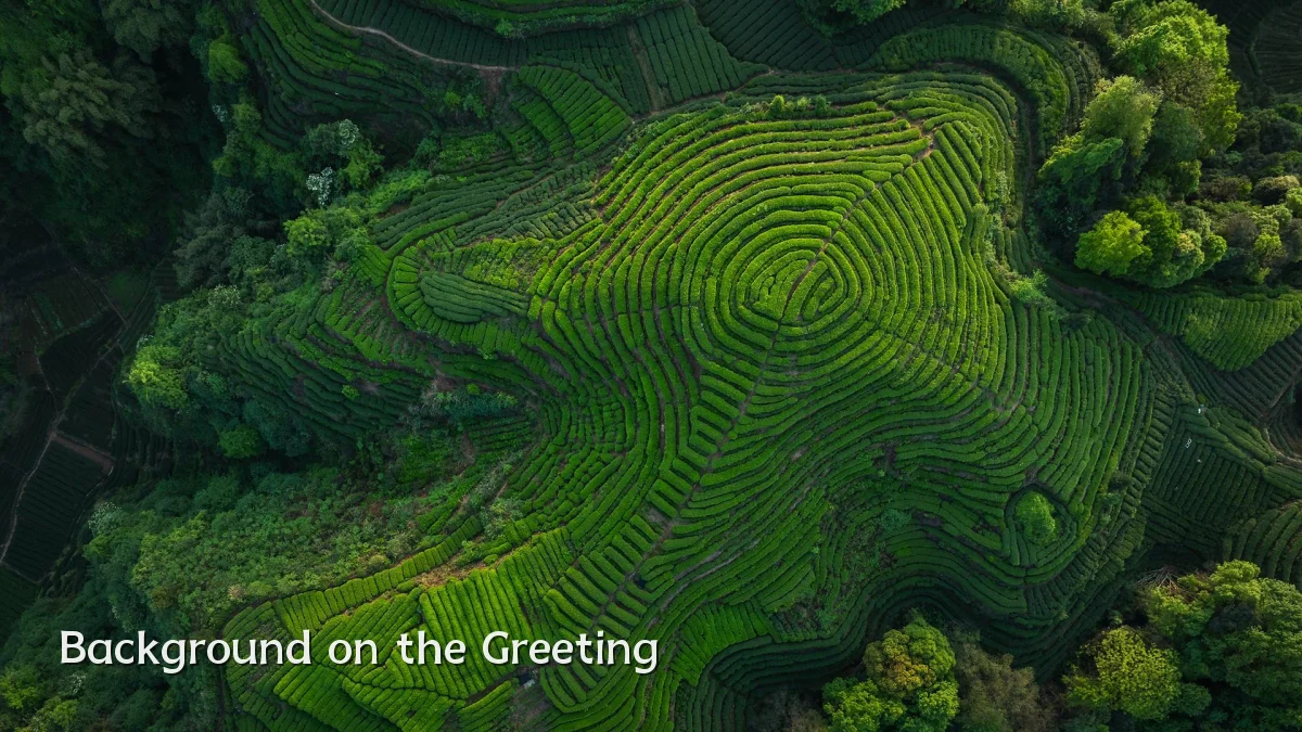 Background on the Greeting