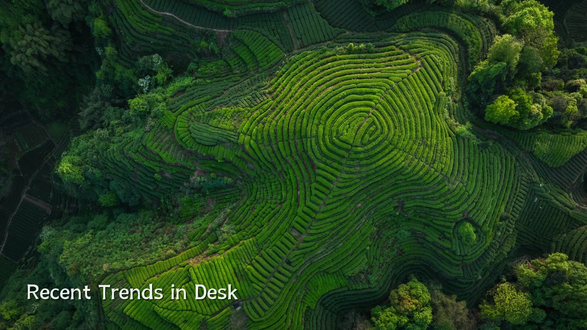 Recent Trends in Desk