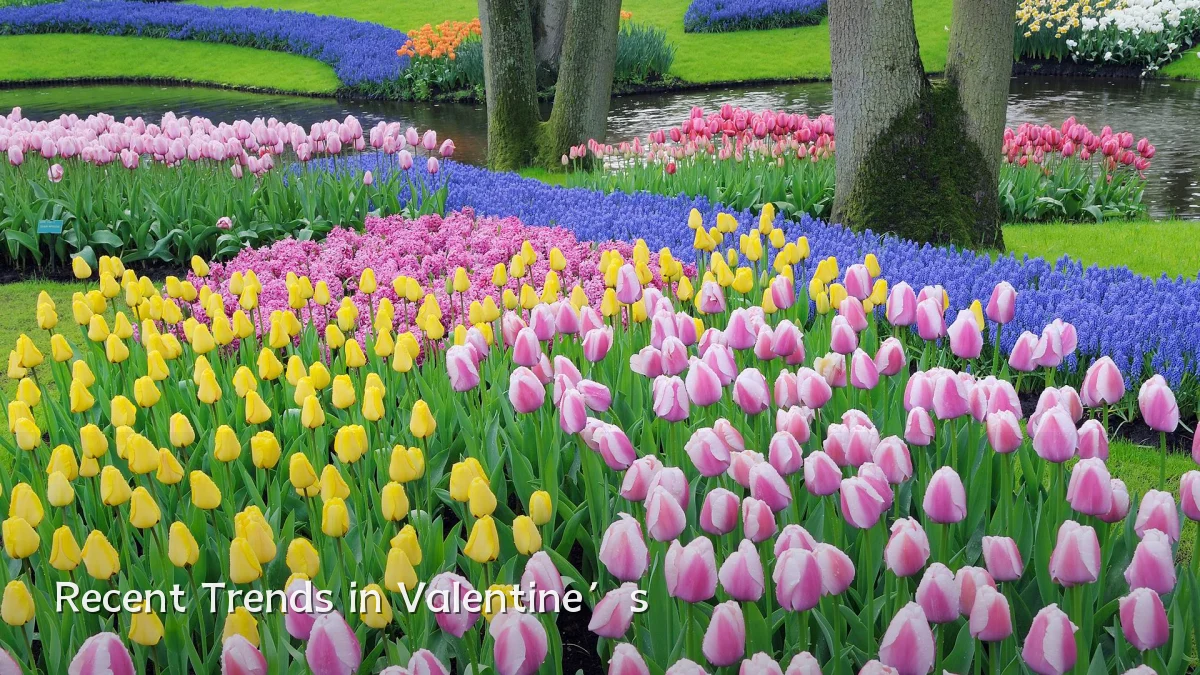 Recent Trends in Valentine’s