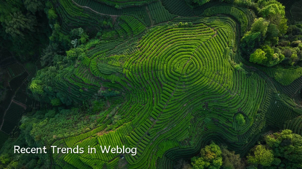 Recent Trends in Weblog