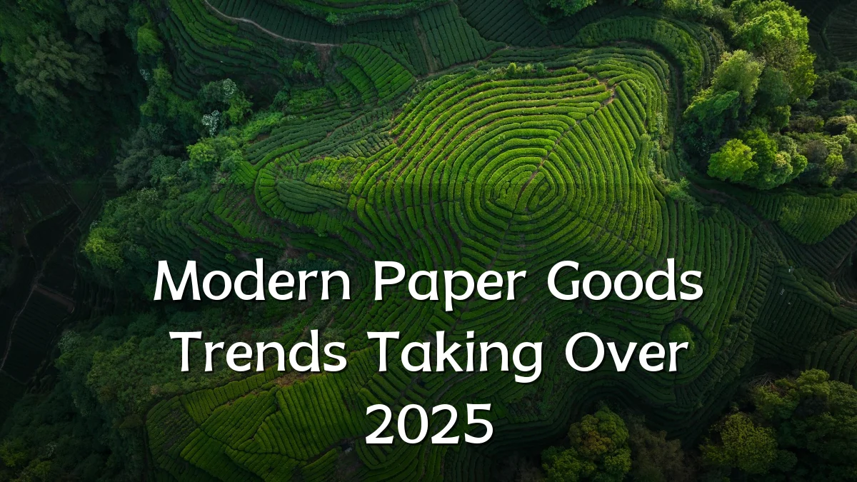Modern Paper Goods Trends Taking Over 2025