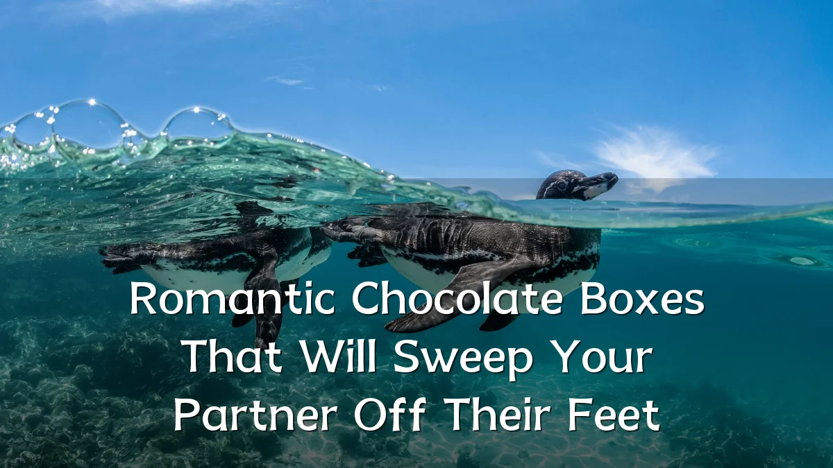 Romantic Chocolate Boxes That Will Sweep Your Partner Off Their Feet