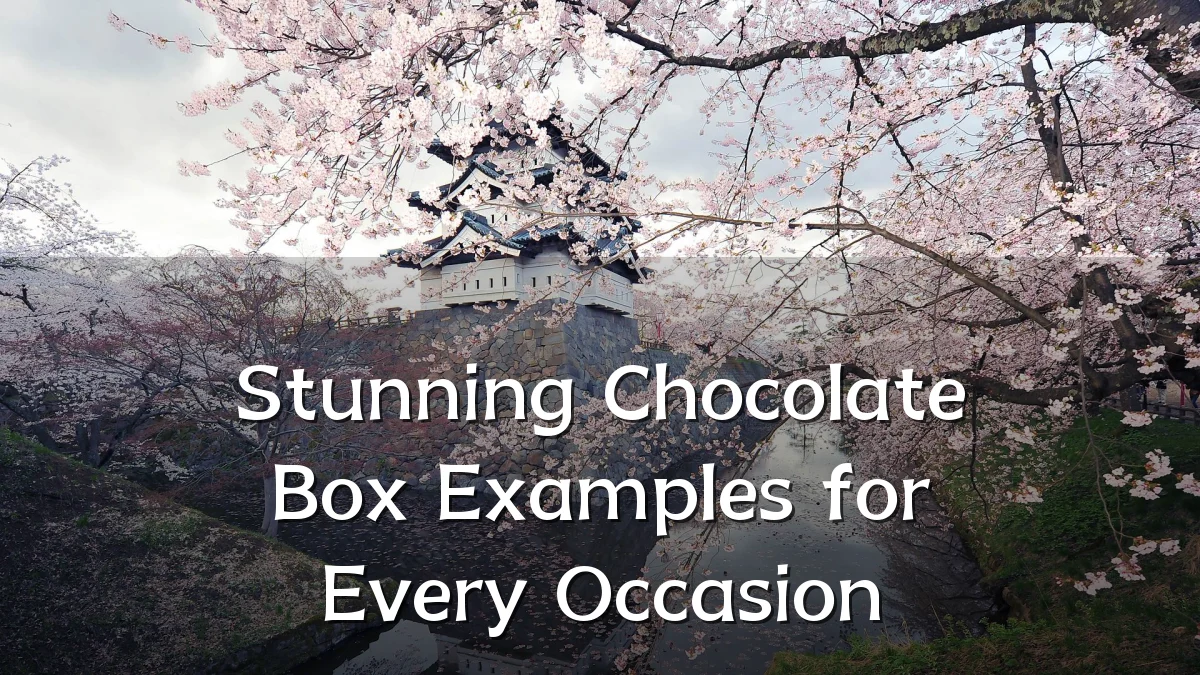 Stunning Chocolate Box Examples for Every Occasion