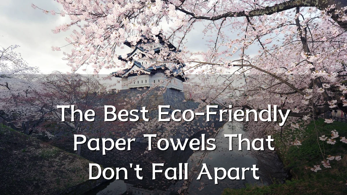The Best Eco-Friendly Paper Towels That Don't Fall Apart