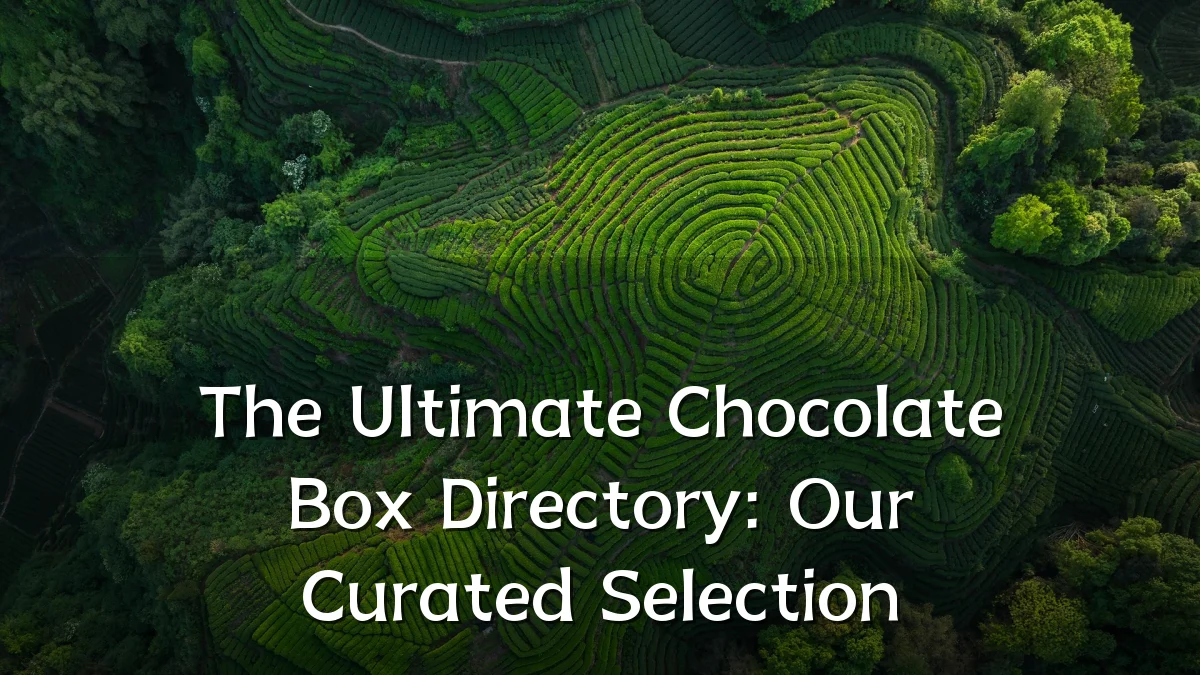 The Ultimate Chocolate Box Directory: Our Curated Selection