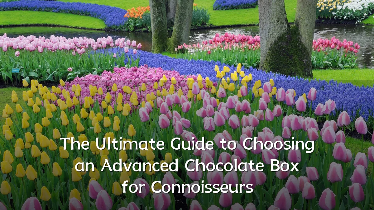 The Ultimate Guide to Choosing an Advanced Chocolate Box for Connoisseurs