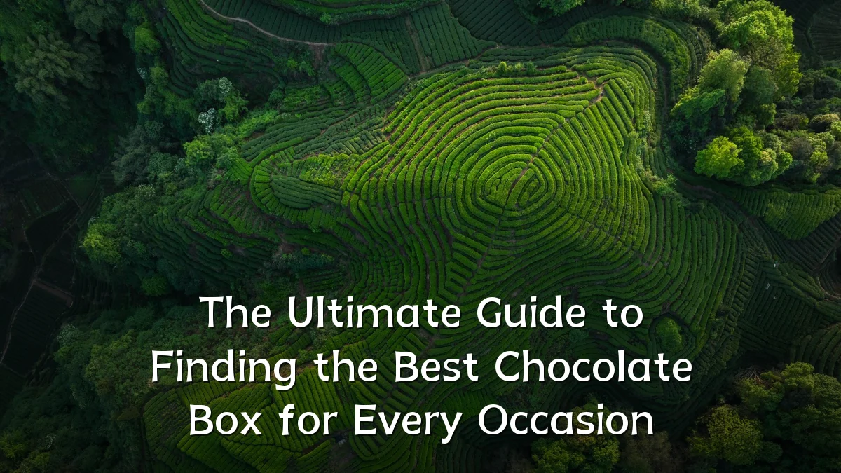 The Ultimate Guide to Finding the Best Chocolate Box for Every Occasion