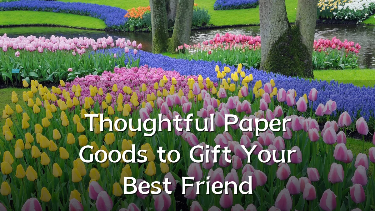 Thoughtful Paper Goods to Gift Your Best Friend