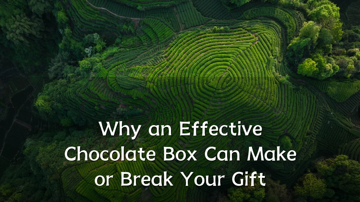 Why an Effective Chocolate Box Can Make or Break Your Gift