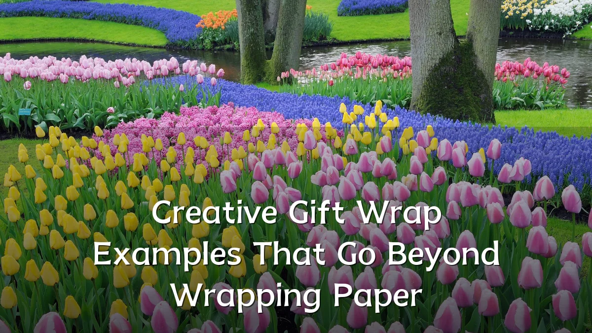 Creative Gift Wrap Examples That Go Beyond Wrapping Paper