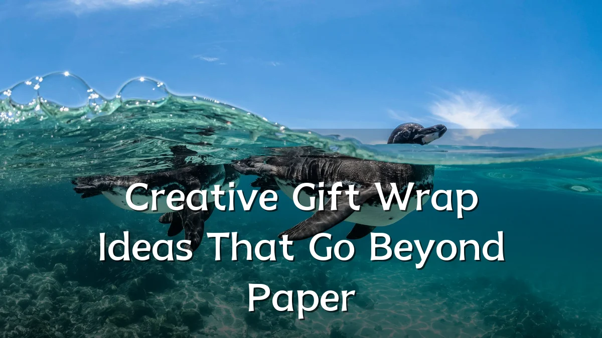 Creative Gift Wrap Ideas That Go Beyond Paper