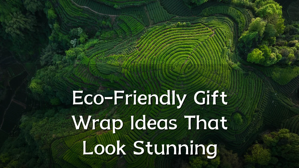 Eco-Friendly Gift Wrap Ideas That Look Stunning