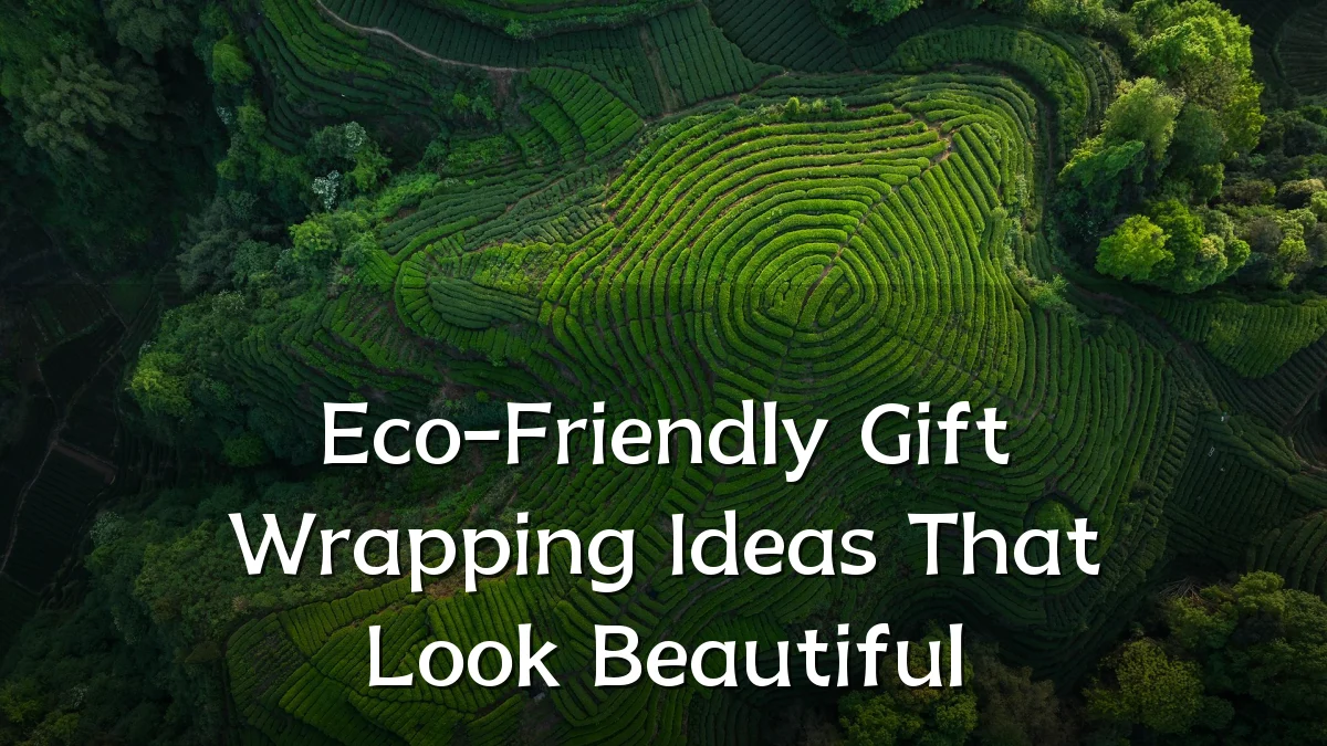Eco-Friendly Gift Wrapping Ideas That Look Beautiful