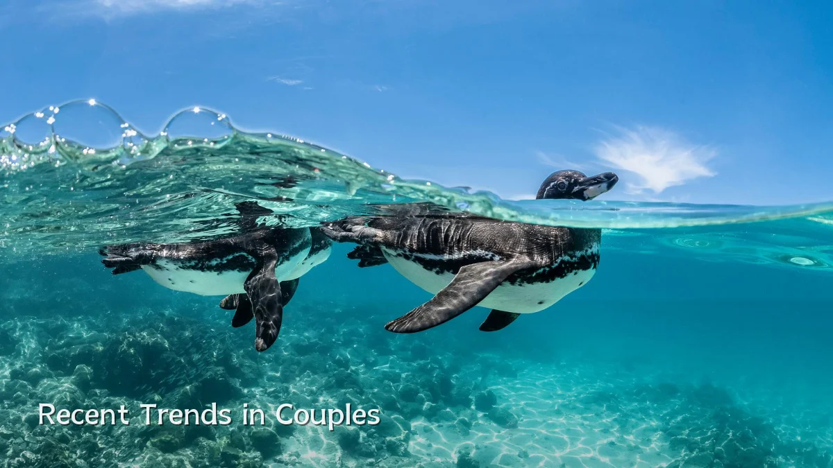 Recent Trends in Couples