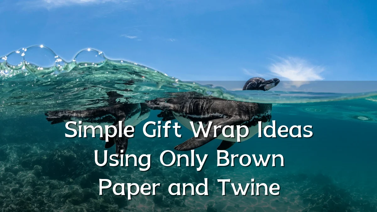 Simple Gift Wrap Ideas Using Only Brown Paper and Twine