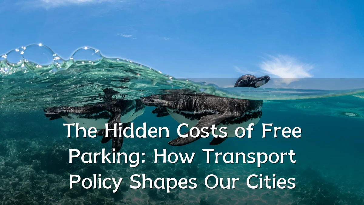 The Hidden Costs of Free Parking: How Transport Policy Shapes Our Cities