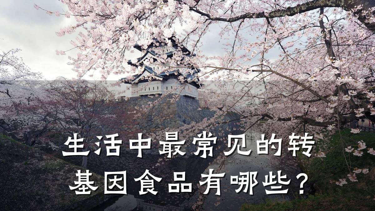 生活中最常见的转基因食品有哪些?
